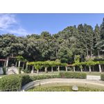 Zdjęcia użytkowników Nothing Phone (3)