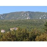 Zdjęcia użytkowników Nothing Phone (3)