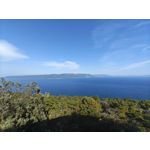 Zdjęcia użytkowników Nothing Phone (3)