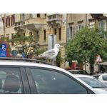 Zdjęcia użytkowników Nothing Phone (3)