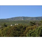 Zdjęcia użytkowników Nothing Phone (3)