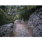 Zdjęcia użytkowników Nothing Phone (3)