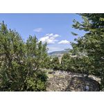 Zdjęcia użytkowników Nothing Phone (3)