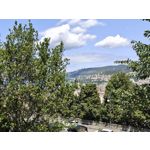 Zdjęcia użytkowników Nothing Phone (3)