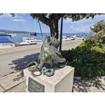 Zdjęcia użytkowników Nothing Phone (3)