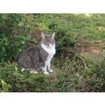 Zdjęcia użytkowników Nothing Phone (3)