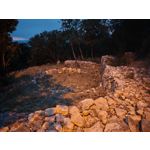 ZDJĘCIA Z TEGO TELEFONU