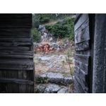 Zdjęcia użytkowników Nothing Phone (3)