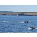 Zdjęcia użytkowników Nothing Phone (3)