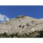 Zdjęcia użytkowników Nothing Phone (3)