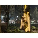 Zdjęcia użytkowników Nothing Phone (3a) Pro