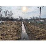 Zdjęcia użytkowników Nothing Phone (3a) Pro