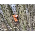Zdjęcia użytkowników Nothing Phone (3a) Pro