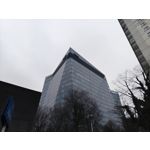 Zdjęcia użytkowników Nothing Phone (3a) Pro