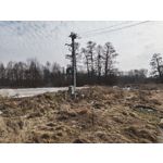Zdjęcia użytkowników Nothing Phone (3a) Pro