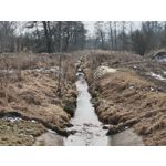 Zdjęcia użytkowników Nothing Phone (3a) Pro