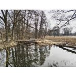 Zdjęcia użytkowników Nothing Phone (3a) Pro