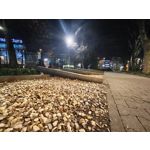 Zdjęcia użytkowników Nothing Phone (3a) Pro