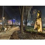 Zdjęcia użytkowników Nothing Phone (3a) Pro