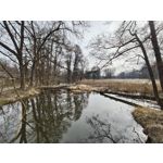Zdjęcia użytkowników Nothing Phone (3a) Pro