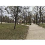 Zdjęcia użytkowników Nothing Phone (4a) Pro Zdjęcia użytkowników Nothing Phone (4a) Pro