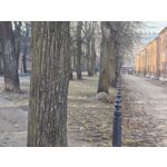 Zdjęcia użytkowników Nothing Phone (4a) Pro Zdjęcia użytkowników Nothing Phone (4a) Pro