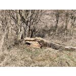 Zdjęcia użytkowników Nothing Phone (4a)