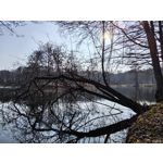 Zdjęcia użytkowników Nothing Phone (4a)