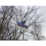 Zdjęcia użytkowników Nothing Phone (4a)