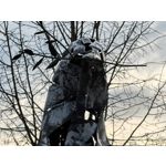 Zdjęcia użytkowników Nothing Phone (4a)