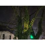 Zdjęcia użytkowników Nothing Phone (4a)