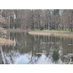 Zdjęcia użytkowników Nothing Phone (4a)