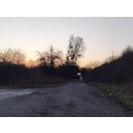 Zdjęcia użytkowników Nothing Phone (4a)