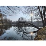 Zdjęcia użytkowników Nothing Phone (4a)