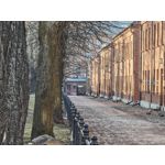 Zdjęcia użytkowników Nothing Phone (4a)