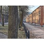 Zdjęcia użytkowników Nothing Phone (4a)