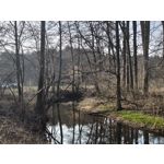 Zdjęcia użytkowników Nothing Phone (4a)