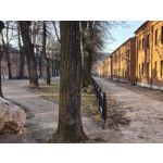 Zdjęcia użytkowników Nothing Phone (4a)