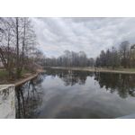 Zdjęcia użytkowników Nothing Phone (4a)