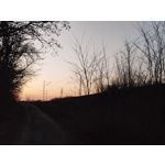 Zdjęcia użytkowników Nothing Phone (4a)