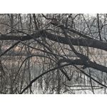 Zdjęcia użytkowników Nothing Phone (4a)