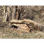 Zdjęcia użytkowników Nothing Phone (4a)