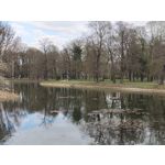 Zdjęcia użytkowników Nothing Phone (4a)