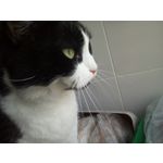 Zdjęcia użytkowników Nous Fabulous Zdjęcia użytkowników Nous Fabulous