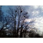 Zdjęcia użytkowników Nous Fabulous Zdjęcia użytkowników Nous Fabulous