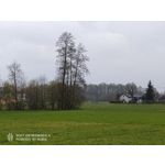 Zdjęcia użytkowników Nubia Red Magic 6