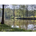 Zdjęcia użytkowników Nubia Red Magic 6S Pro