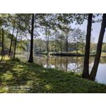 Zdjęcia użytkowników Nubia Red Magic 6S Pro