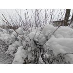 Zdjęcia użytkowników Nubia Red Magic 8 Pro Zdjęcia użytkowników Nubia Red Magic 8 Pro