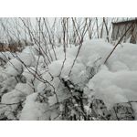 Zdjęcia użytkowników Nubia Red Magic 8 Pro Zdjęcia użytkowników Nubia Red Magic 8 Pro